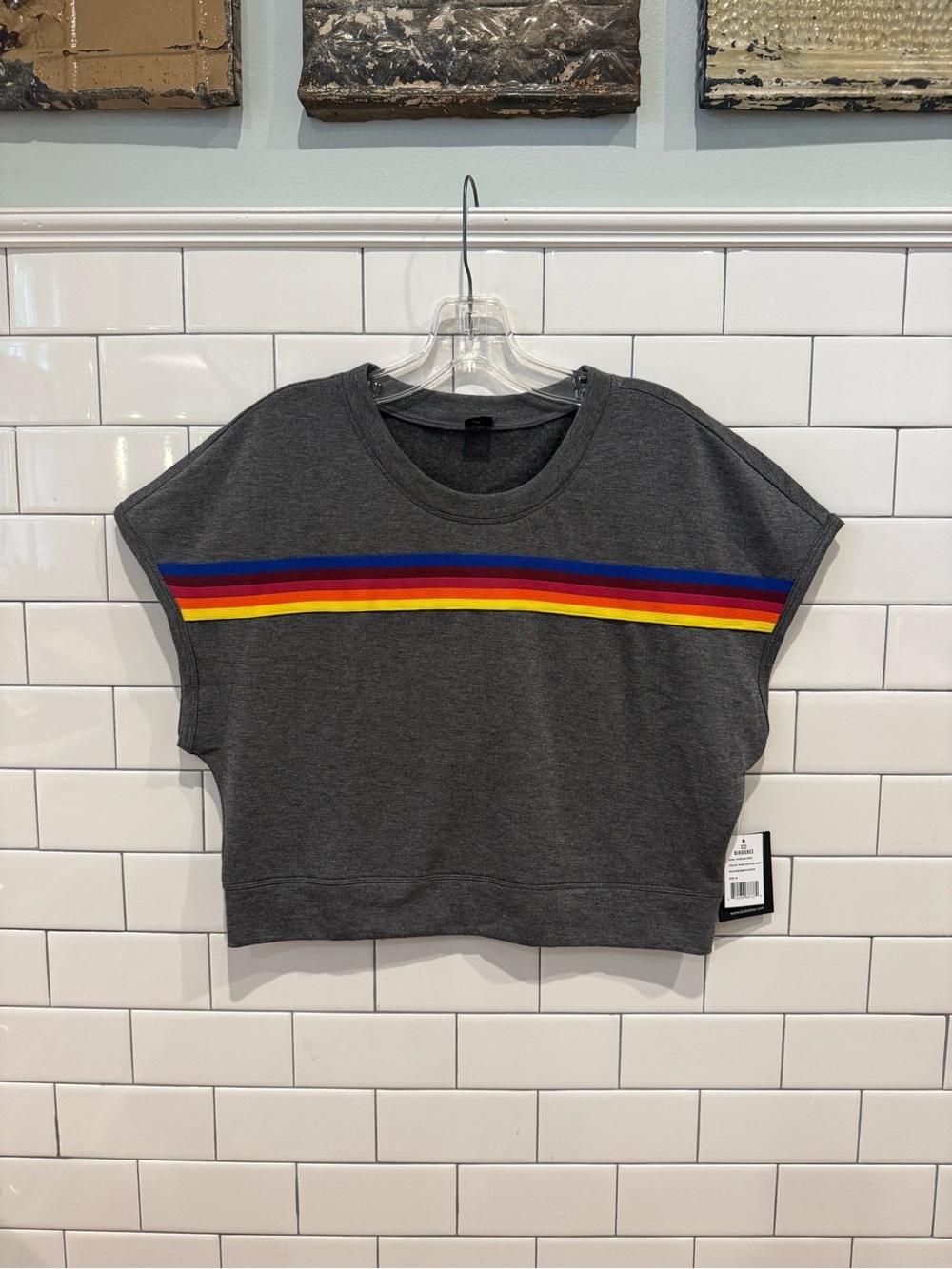 NWT Birdiebee Charcoal Crop Top with Rainbow Chest Stripe